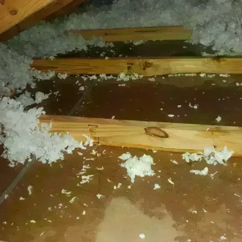 Attic Water Damage in Lodi, CA