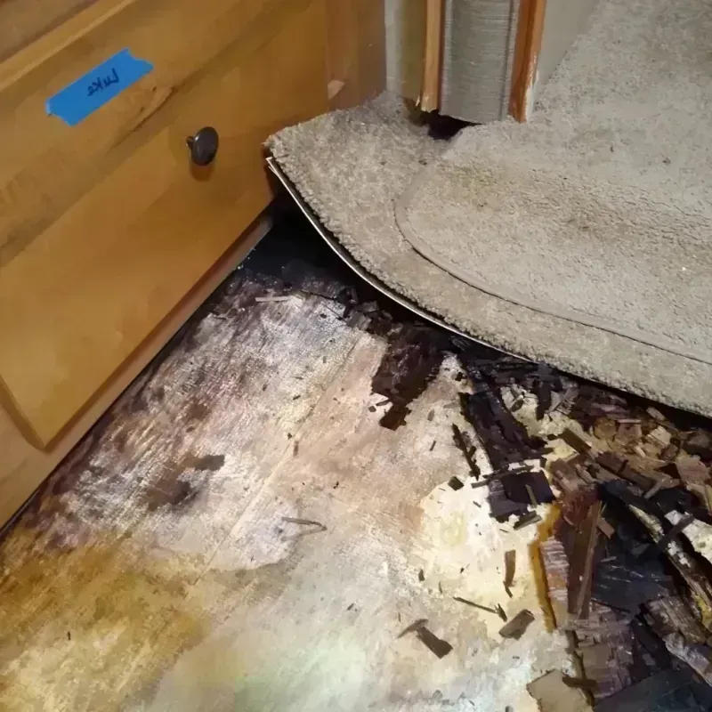 Wood Floor Water Damage in Lodi, CA